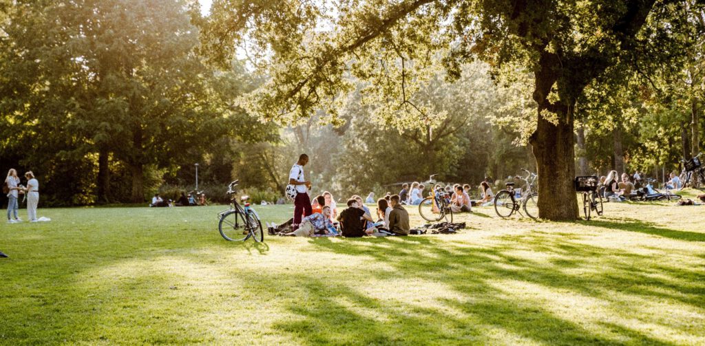 THIS Ho(s)tel Amsterdam hotel garden